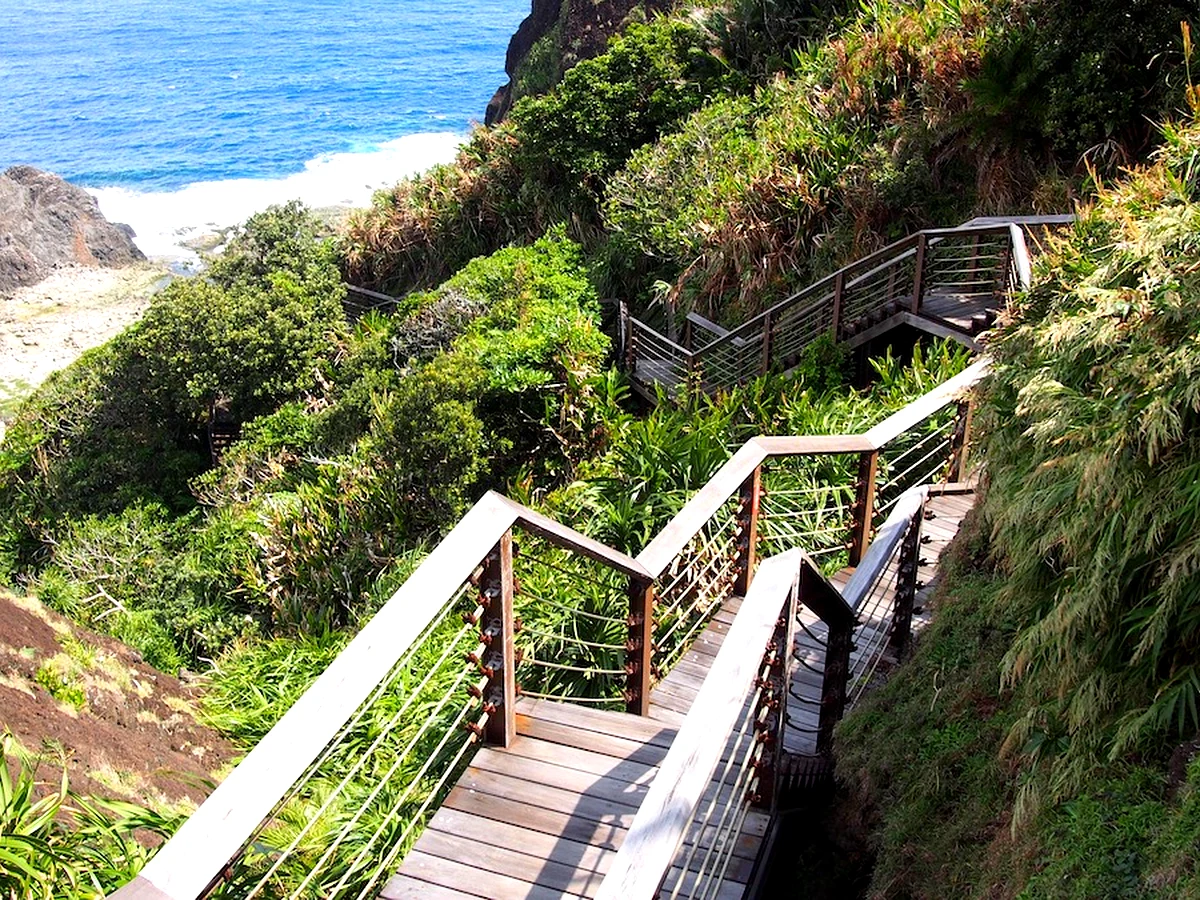 綠島過山古道|梅花鹿與蝴蝶生態登山步道|Guoshan Old Trail, Green Island